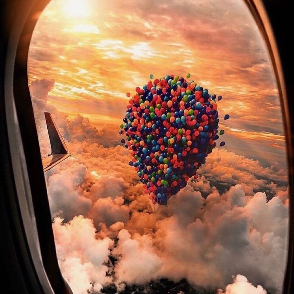 Meet your Posher, Allie